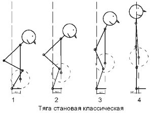 Расположение частей тела при становой тяге